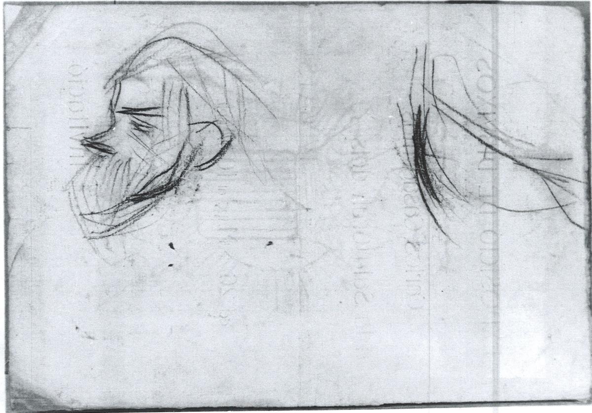 Cabeza de hombre de perfil