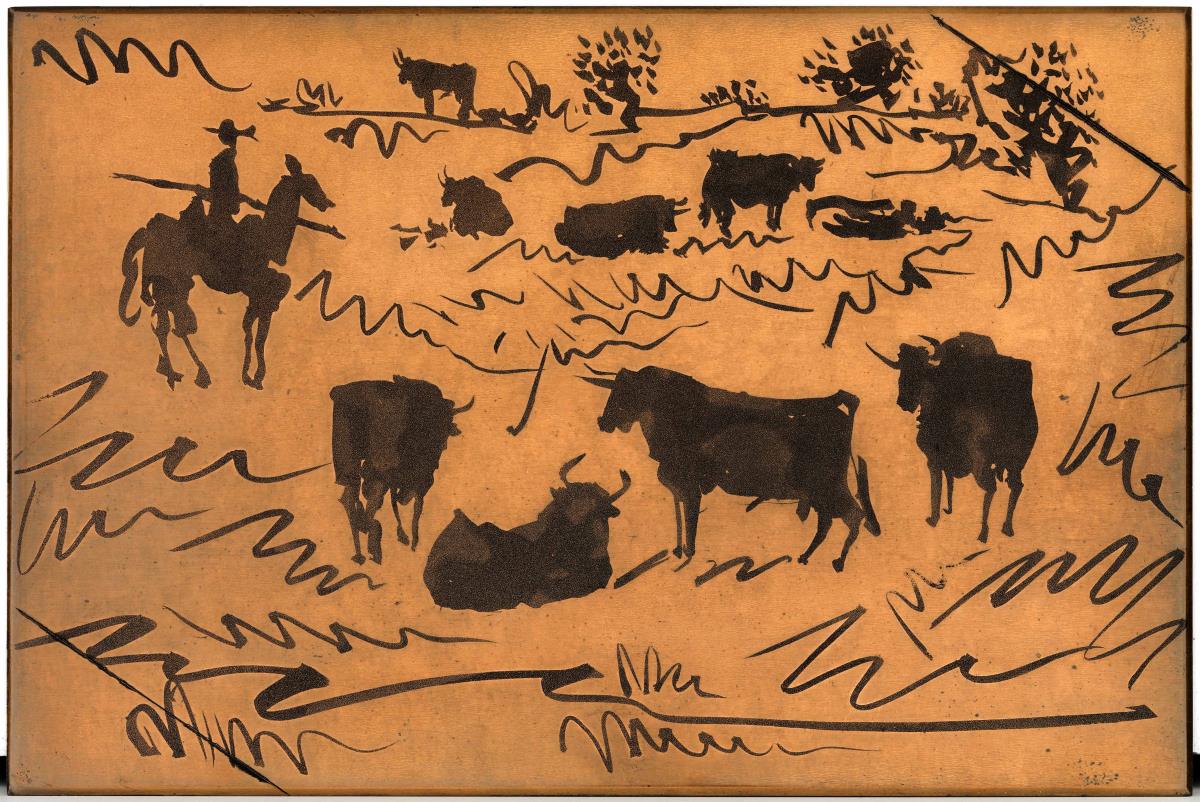 Bulls in the Field