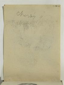 Handwritten Annotations