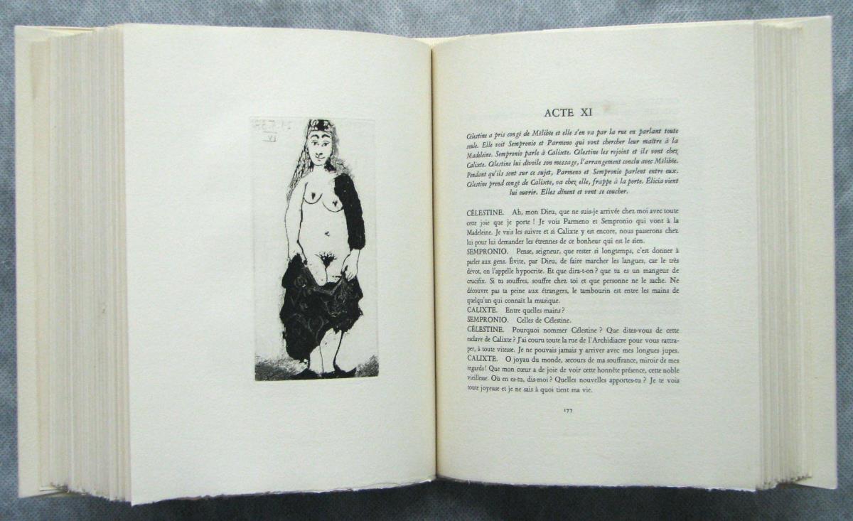 "Maja" in a Torn Dress