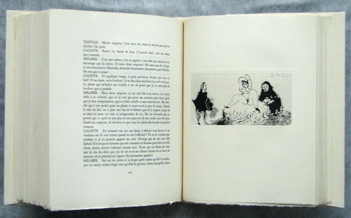 Gentleman Visiting Celestina's House