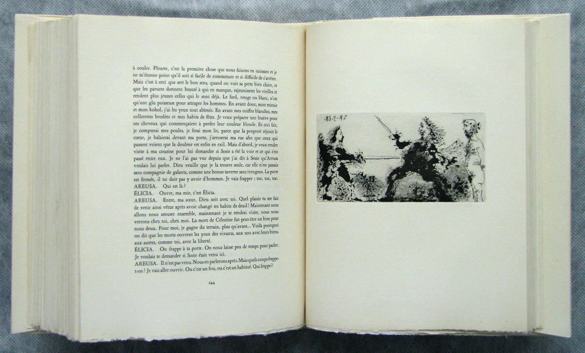 Duel with Naked Spectator