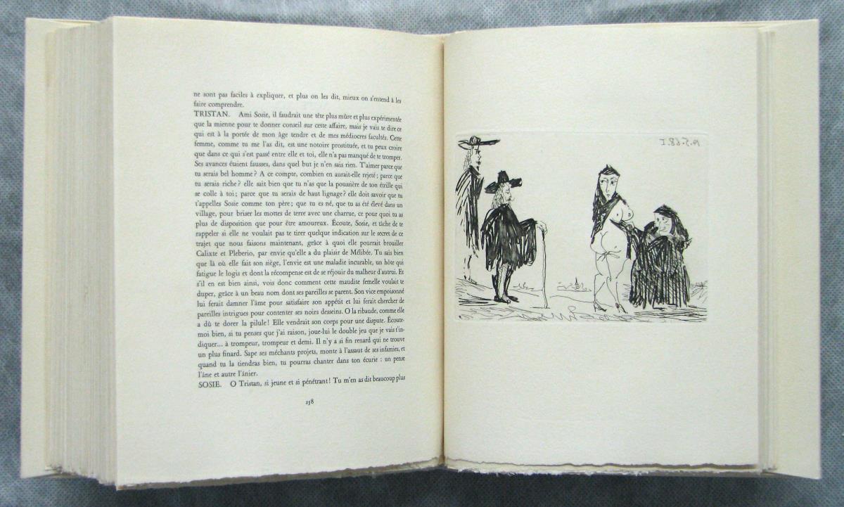 Celestina in Action: Soliciting