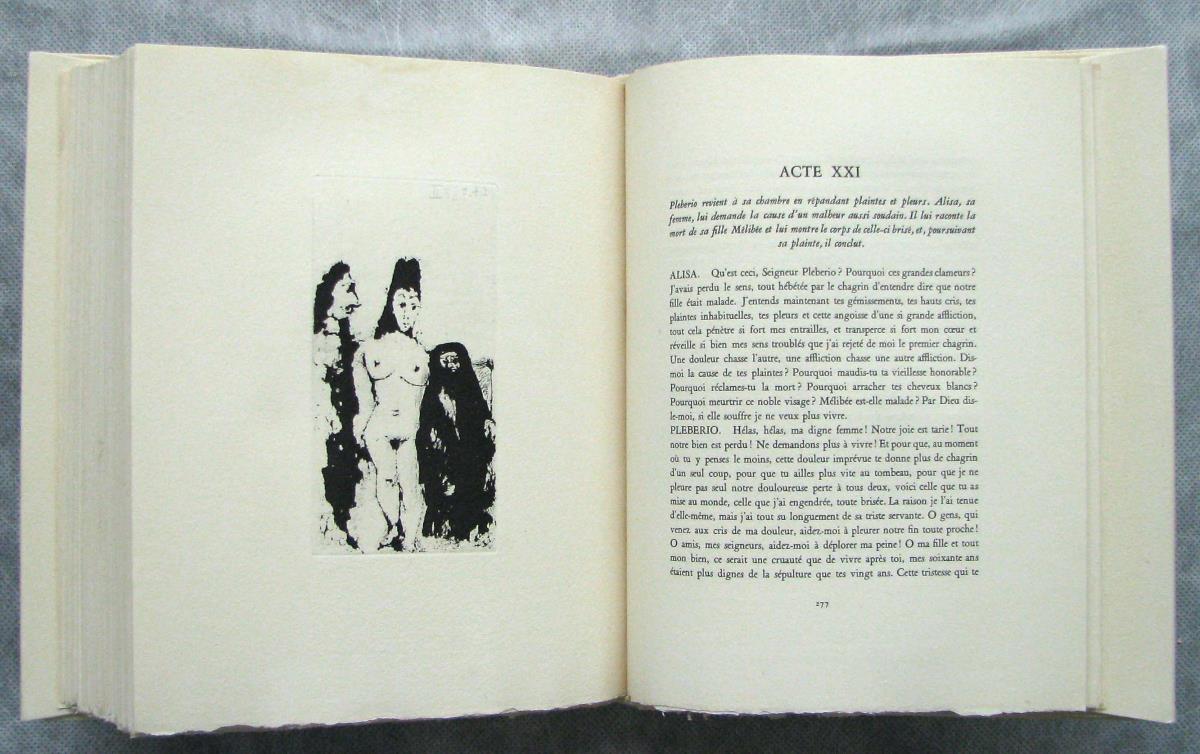 Celestina, "Maja" and Male Accomplice