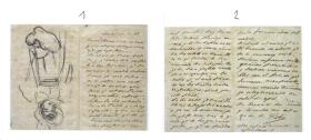 Carta del padre de Picasso a su mujer, con dibujos de Picasso