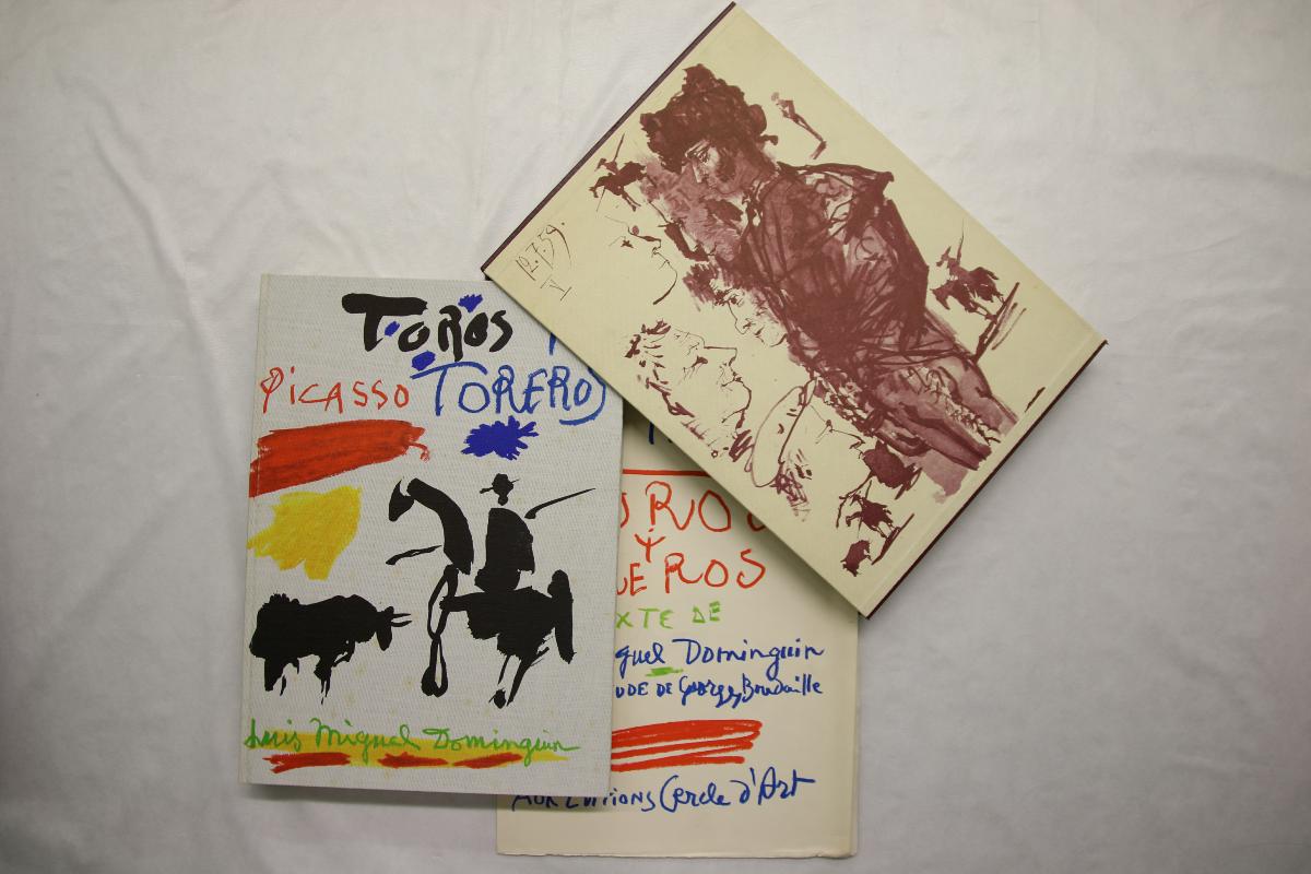 Toros y toreros