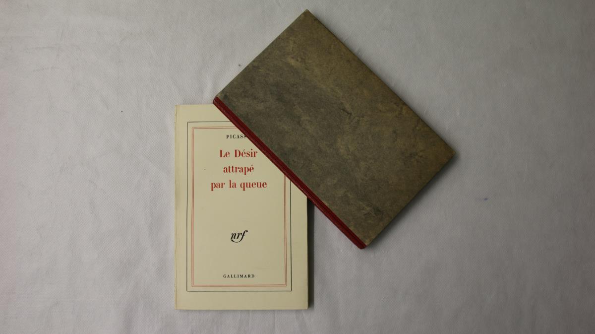 Le Désir attrapé par la queue