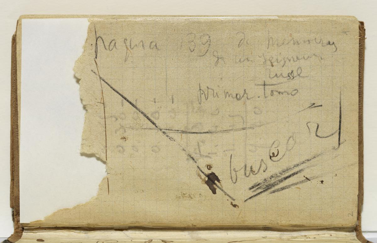 Handwritten Annotations