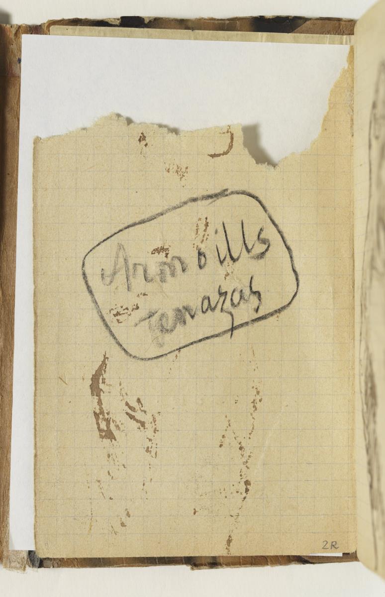 Handwritten Annotations