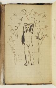 Muchacho desnudo