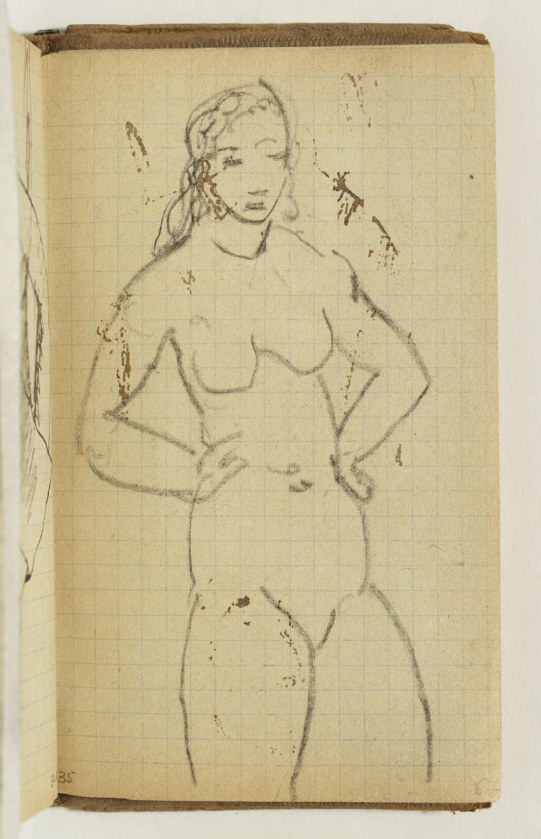 Mujer desnuda