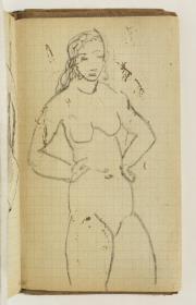 Mujer desnuda