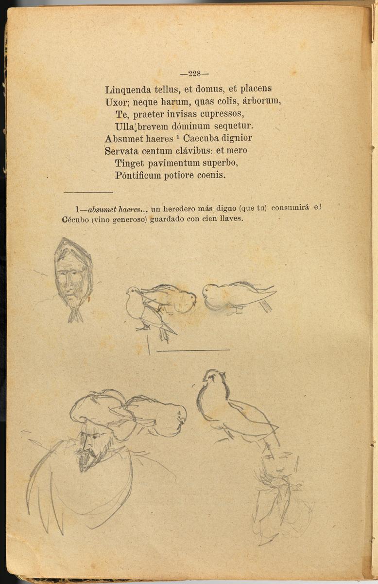 Croquis diversos