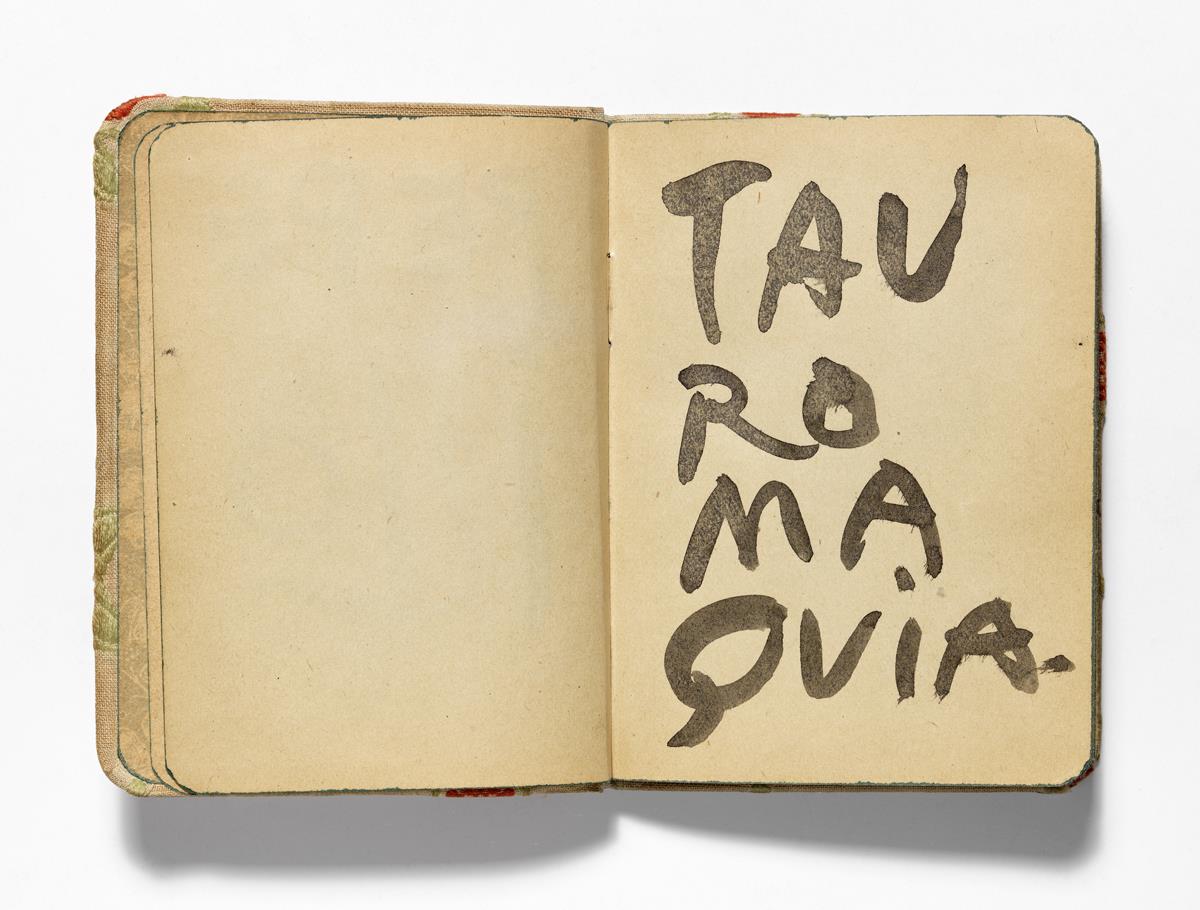 Anotaciones manuscritas