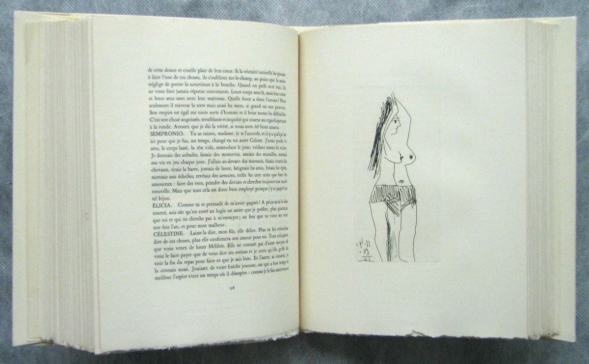 Woman at Her Toilette