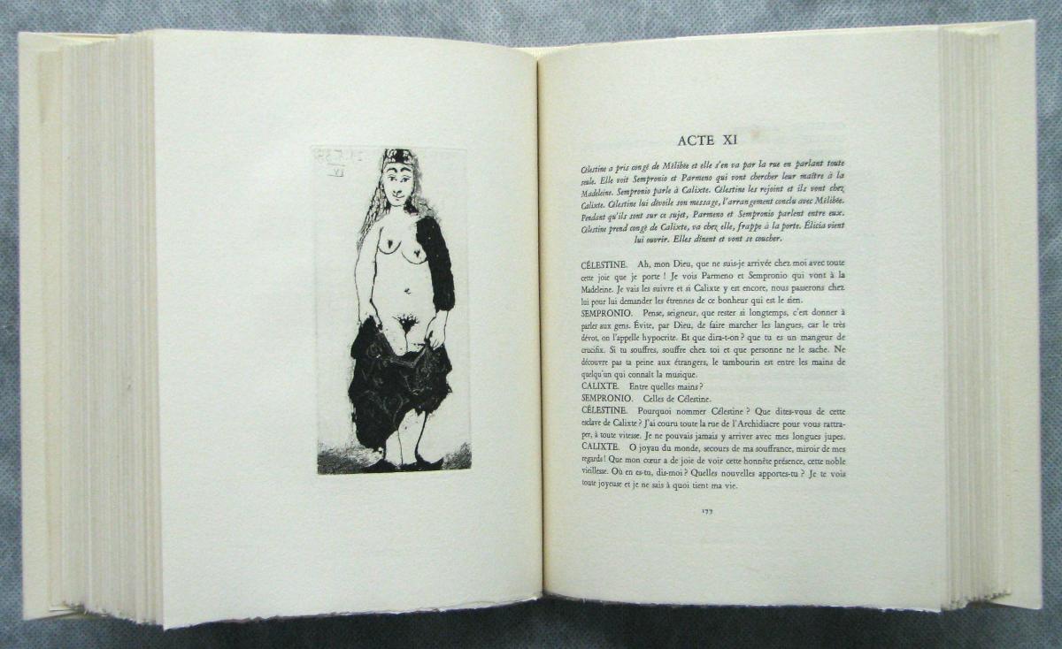 "Maja" in a Torn Dress