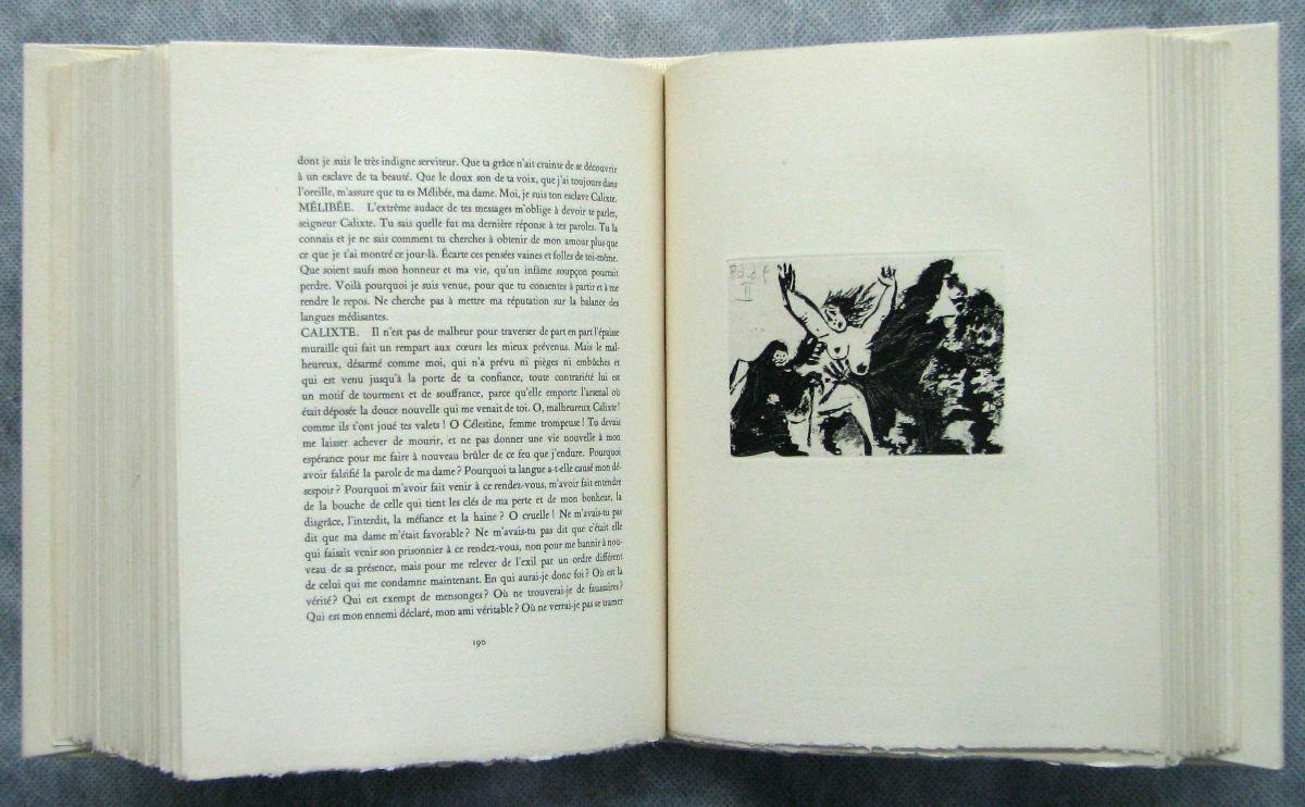 The Abduction, on Foot, with Celestina