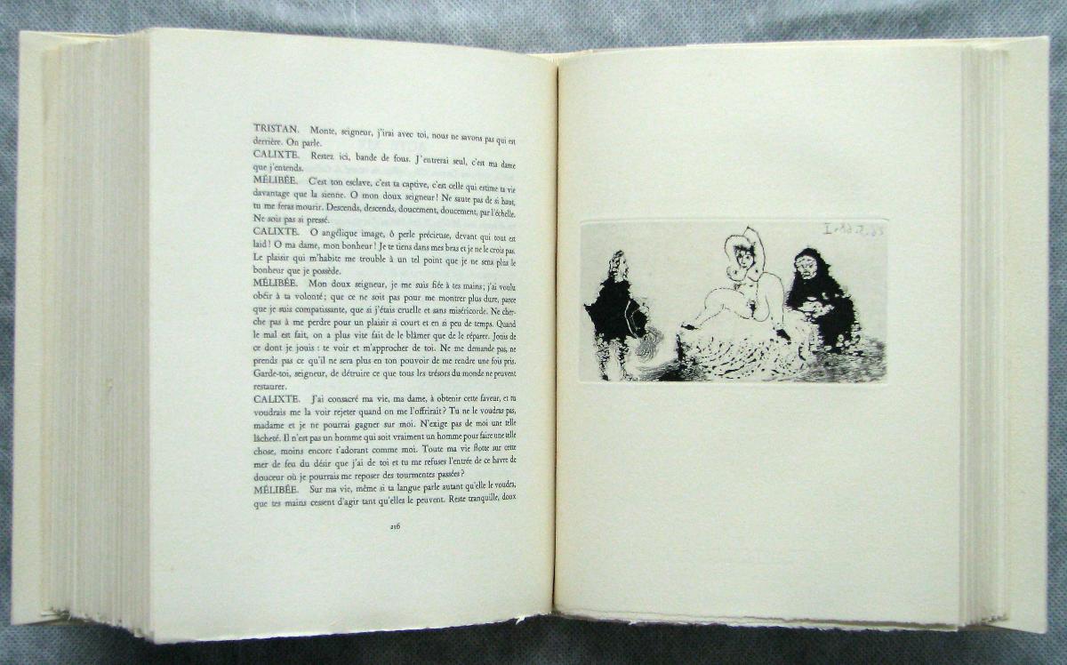 Gentleman Visiting Celestina's House