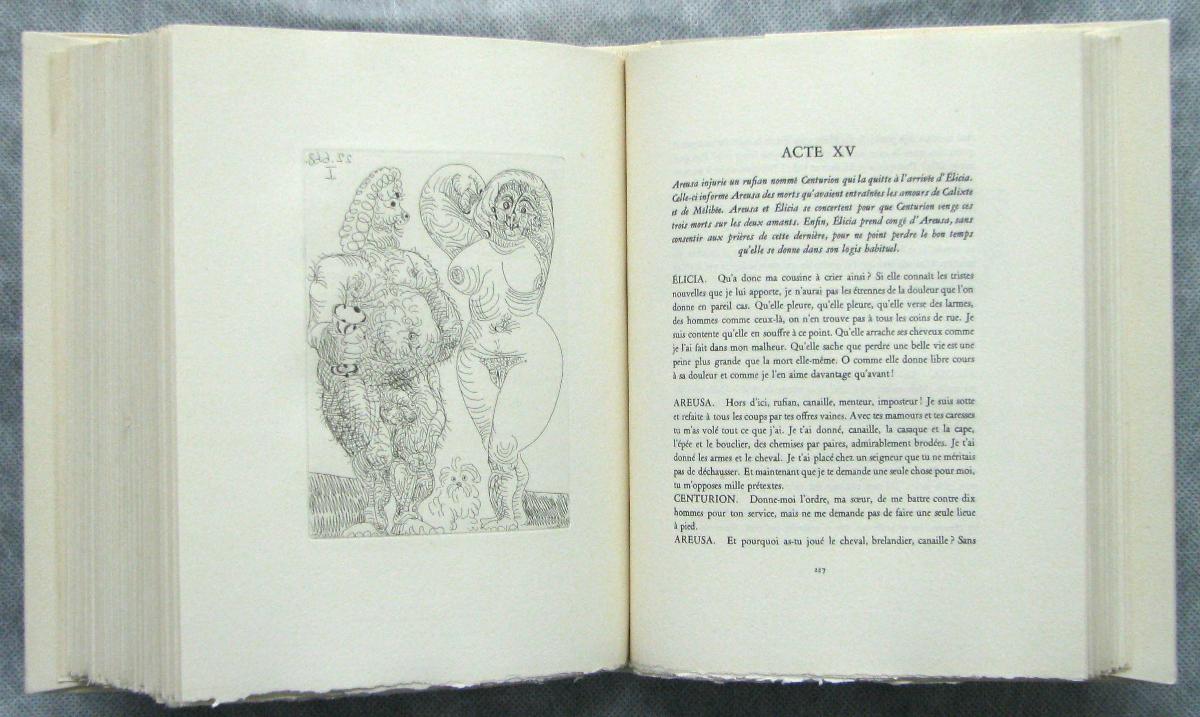 Hairy Fat Couple and Small Shaggy Dog