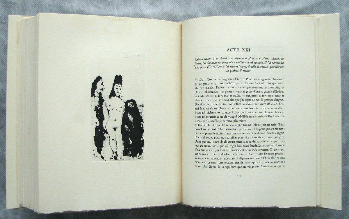 Celestina, "Maja" and Male Accomplice