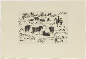 Bulls in the Field