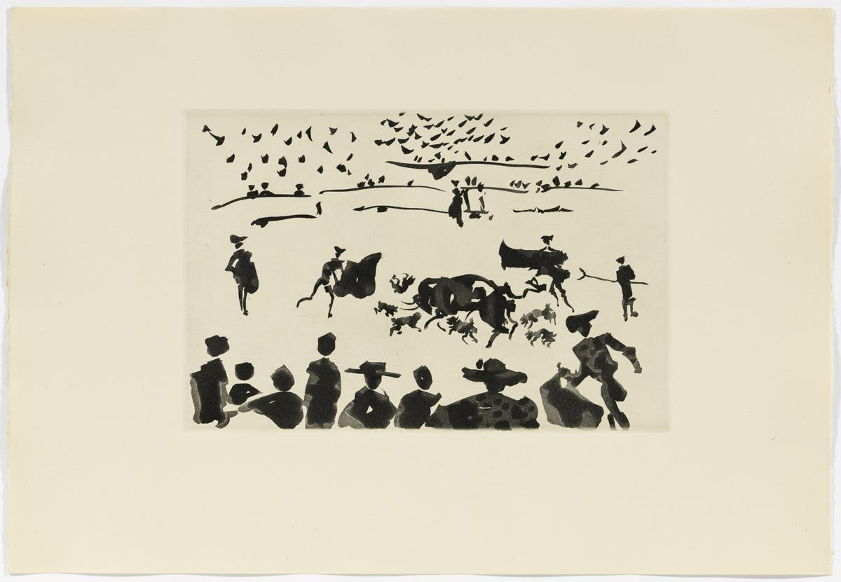 "Echan perros al toro"