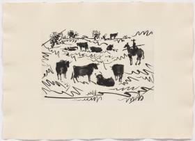 Bulls in the Field