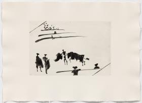 Bullfighting Feat