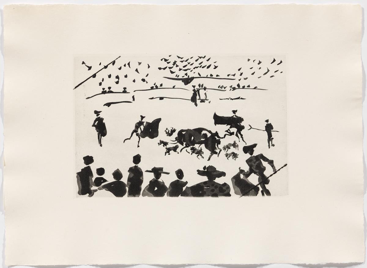 "Echan perros al toro"