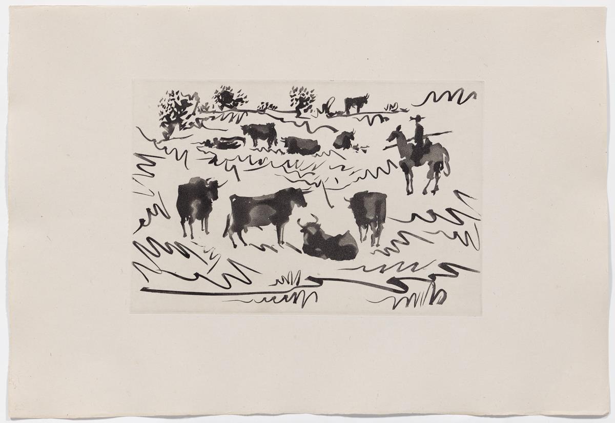 Toros en el campo