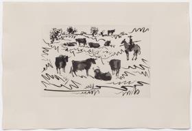 Bulls in the Field