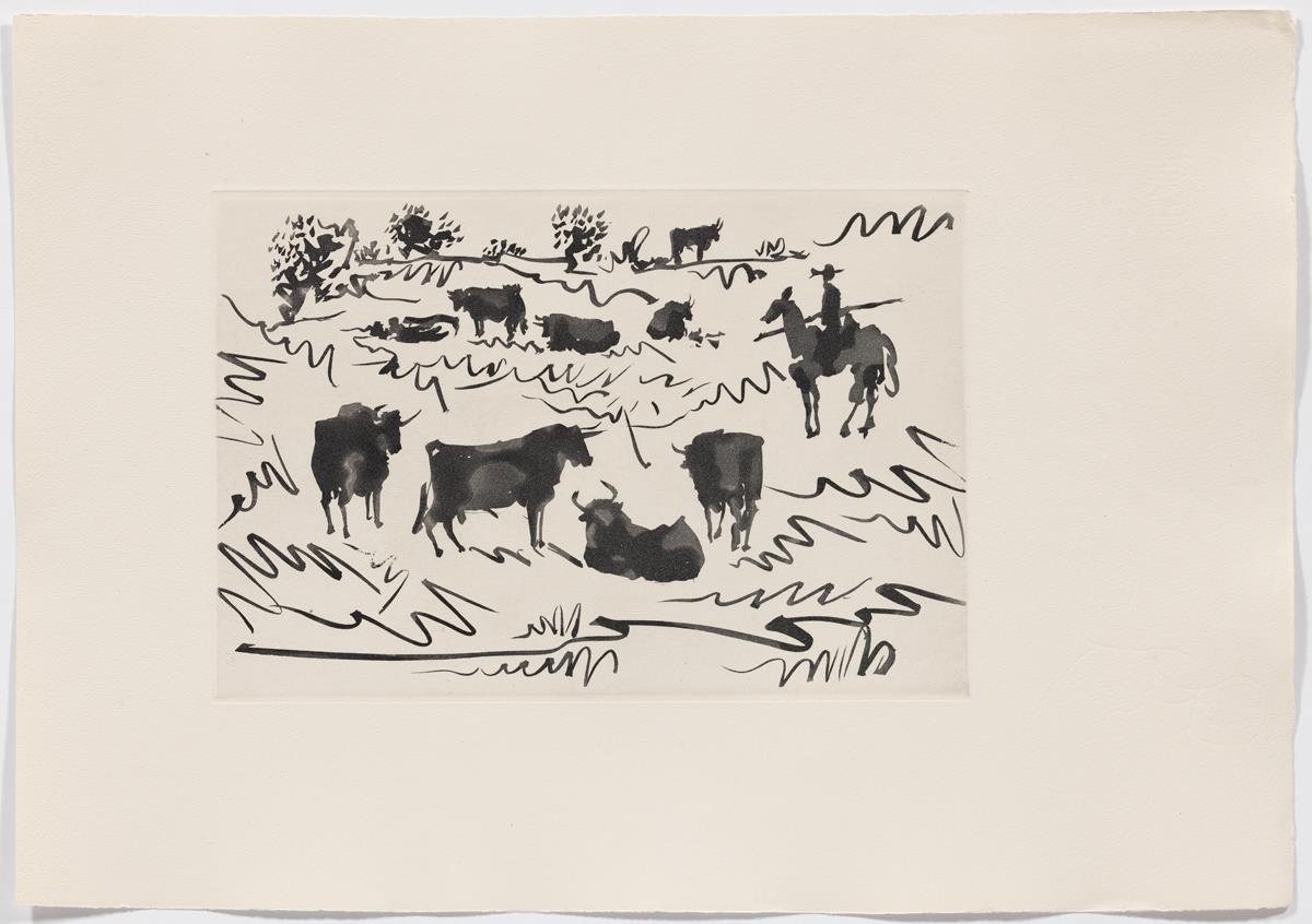Toros en el campo