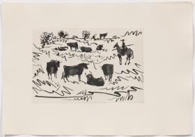 Toros en el campo