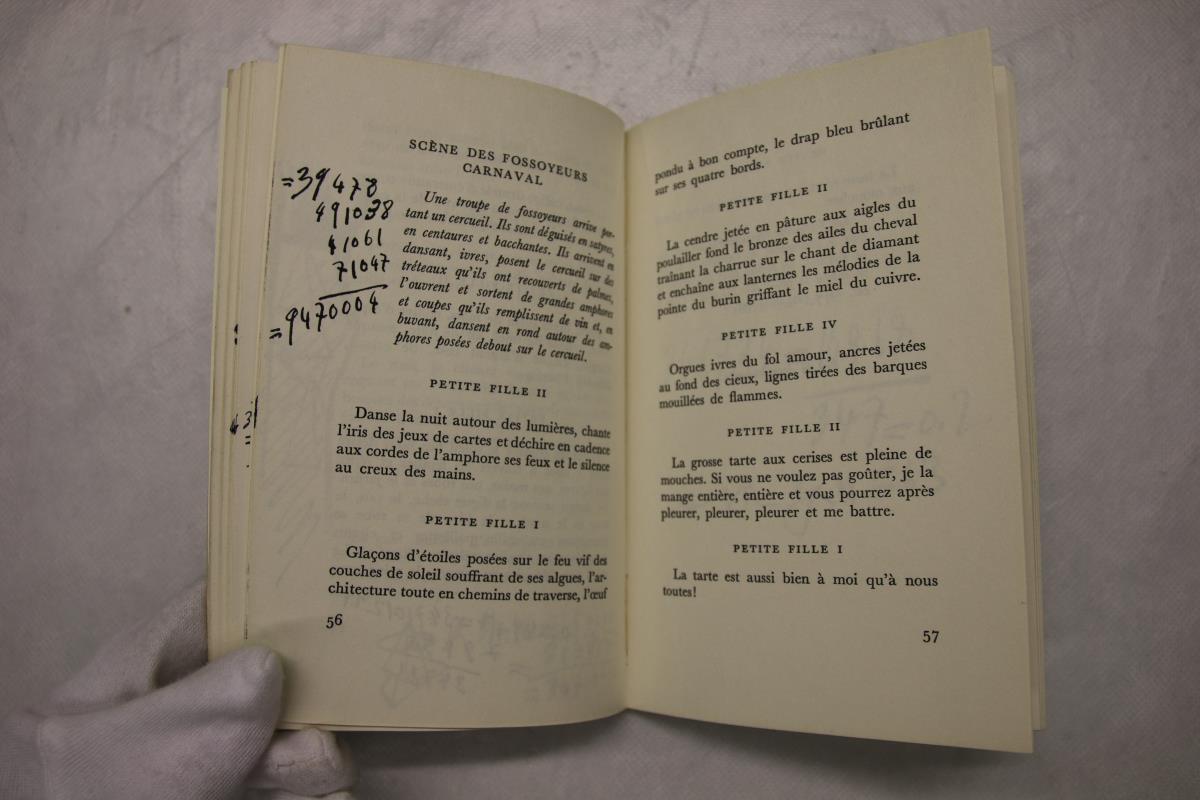 Handwritten Annotations