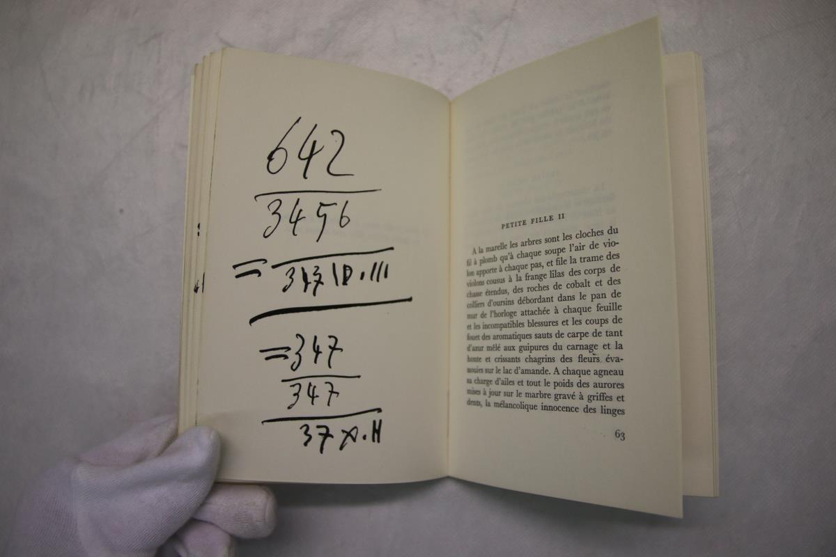 Handwritten Annotations