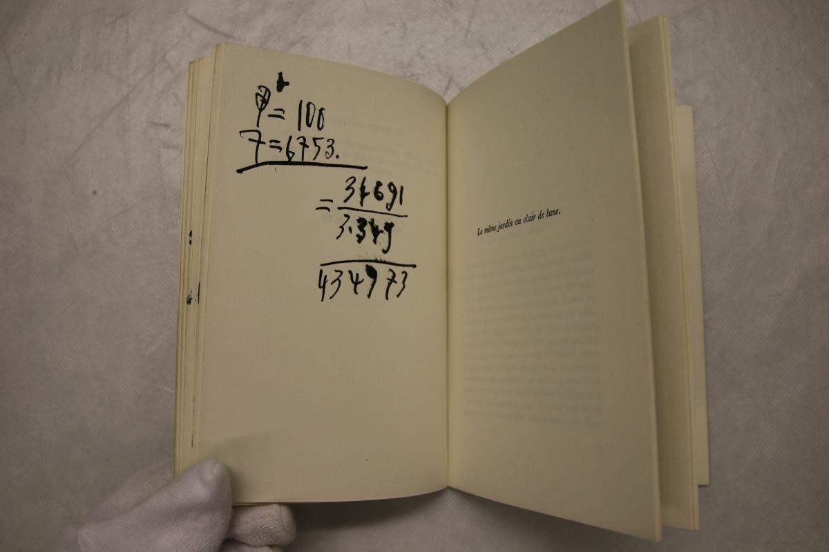 Handwritten Annotations