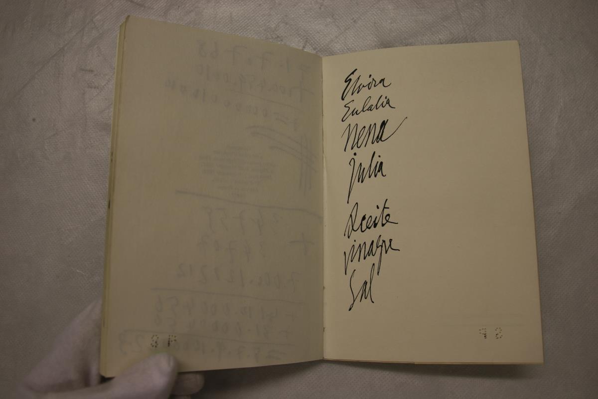 Handwritten Annotations