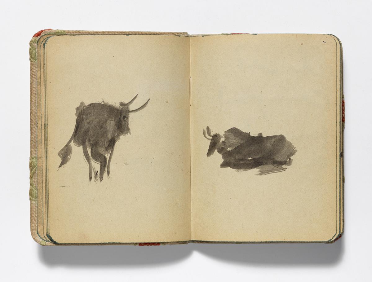 Bull and Bull Lying Down