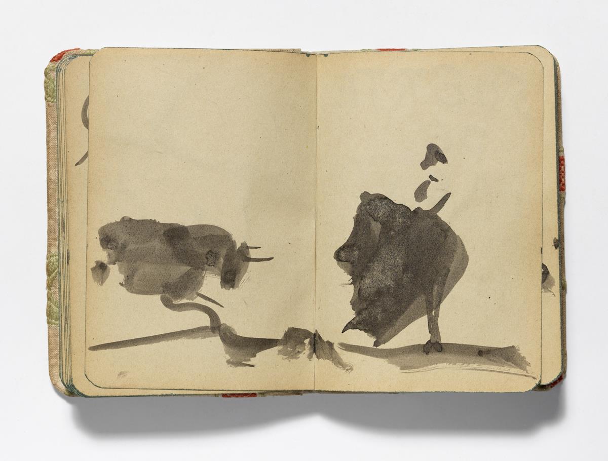 Summoning the Bull with the Cape