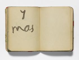 Anotaciones manuscritas