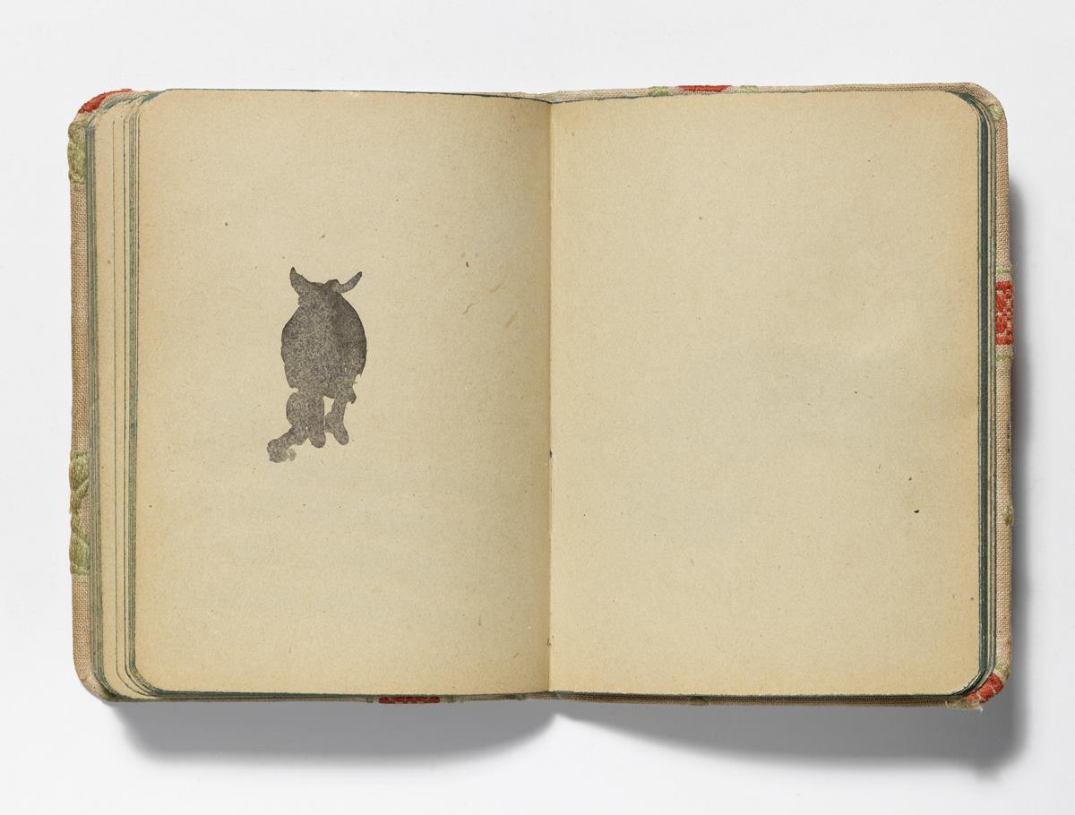 Bull Seen from Behind