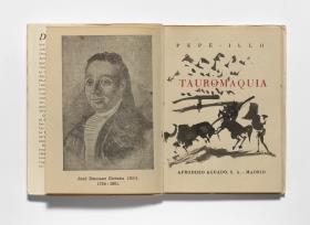El picador obligando al toro con su pica