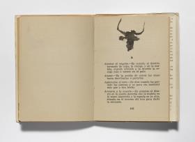 Cabeza de toro