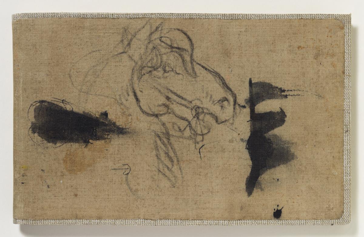 Head of a Horse