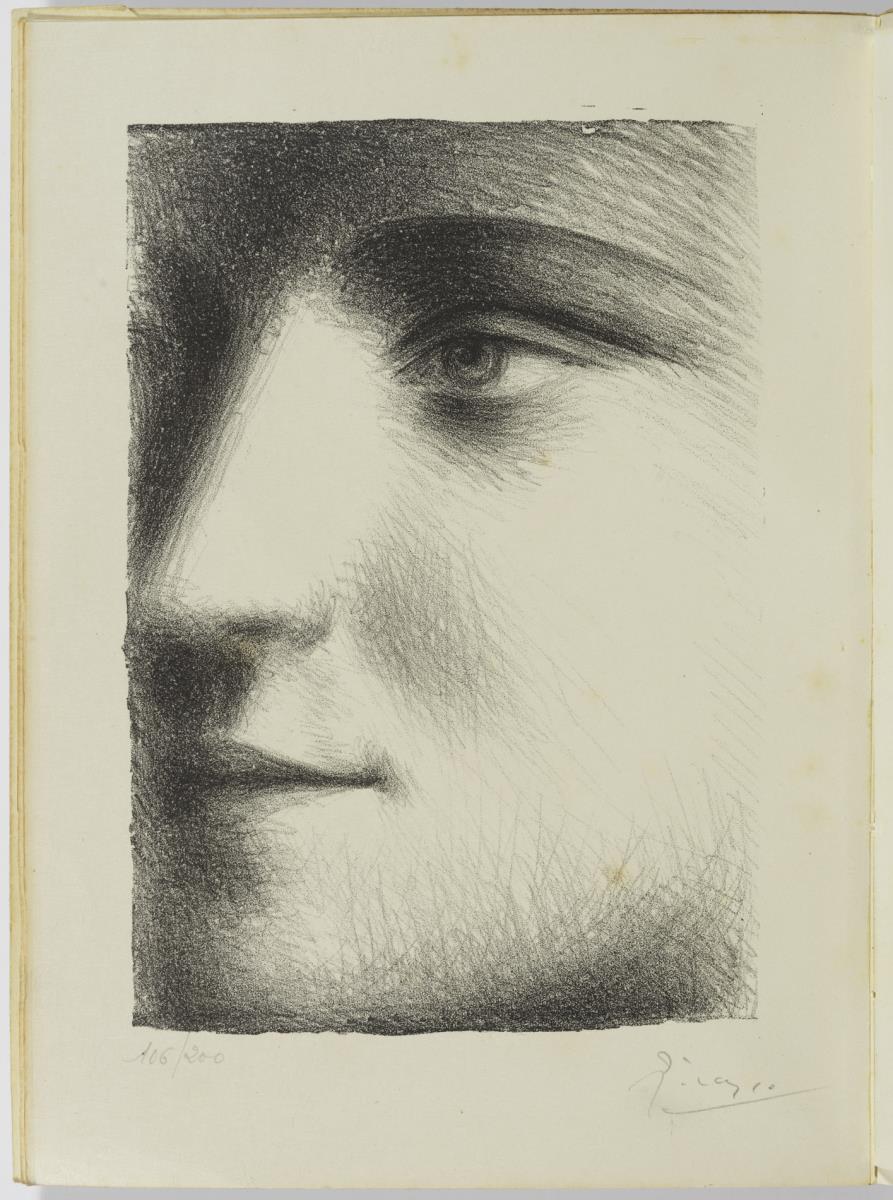 Rostro